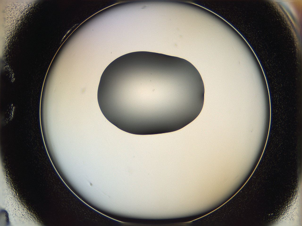 064g_C4_ImagerDefaults_0.jpg