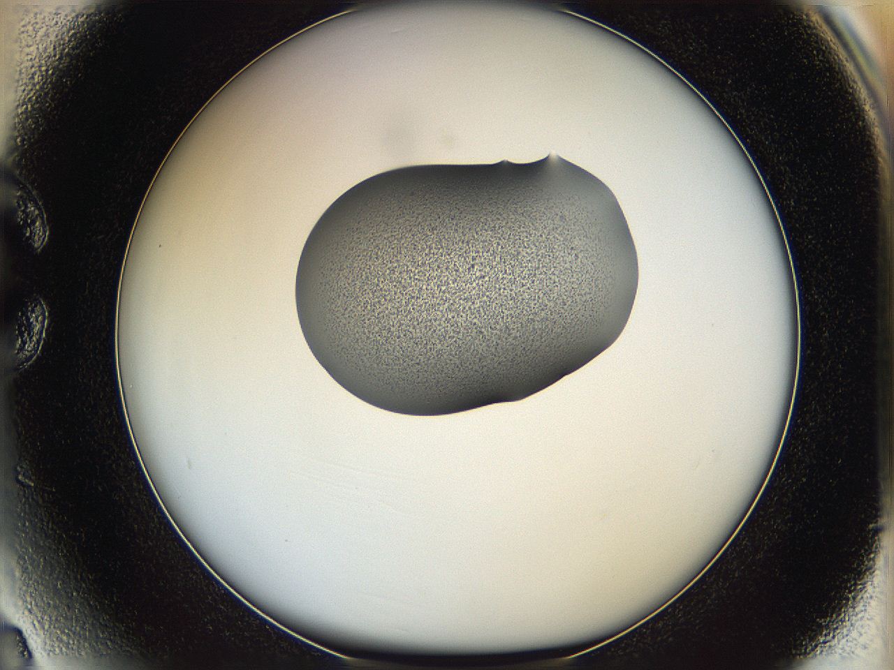 064g_C3_ImagerDefaults_1.jpg