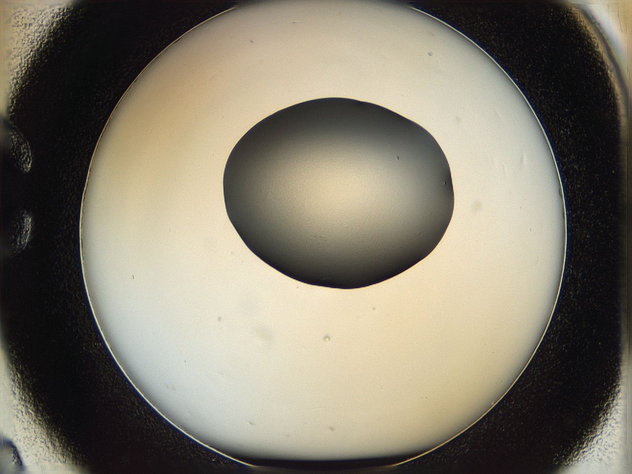 064g_C2_ImagerDefaults_0.jpg