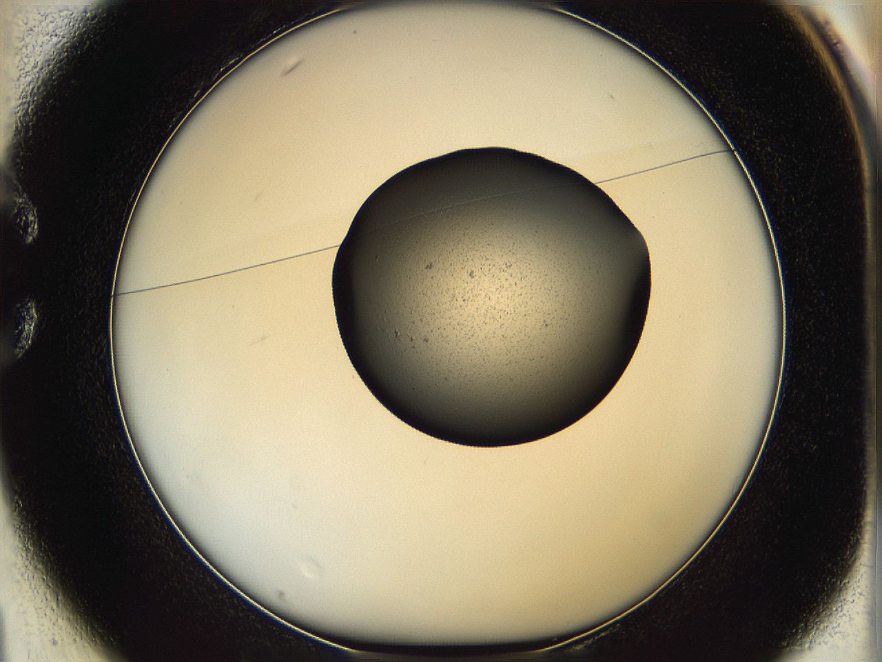 064g_C1_ImagerDefaults_1.jpg