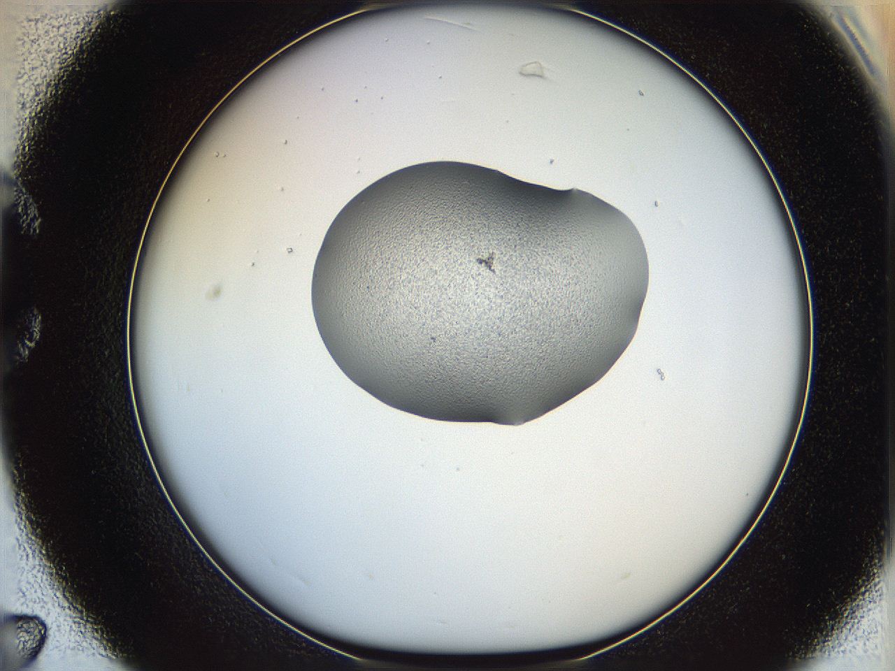 064g_C7_ImagerDefaults_1.jpg