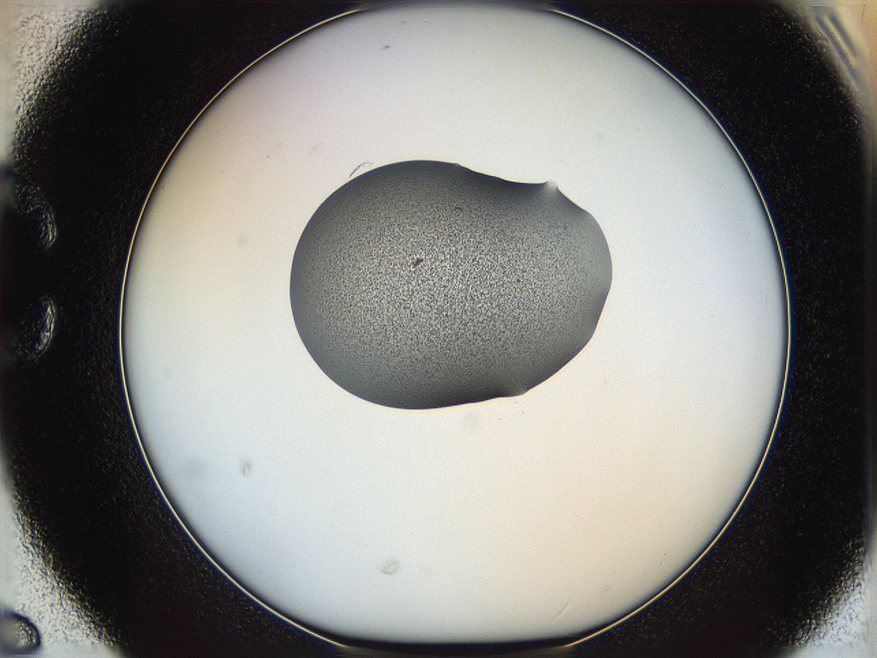 064g_C6_ImagerDefaults_1.jpg