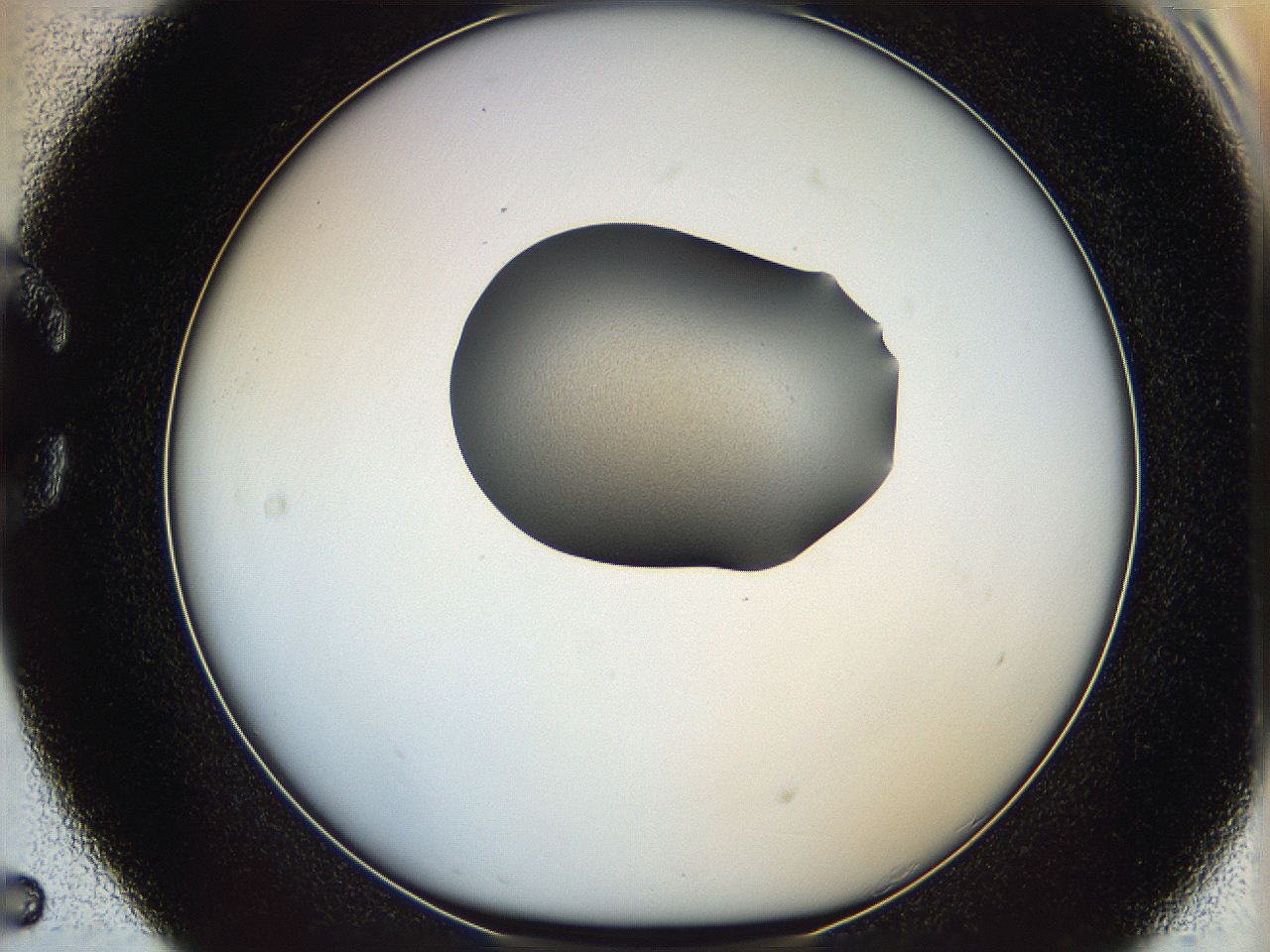 064g_C5_ImagerDefaults_1.jpg