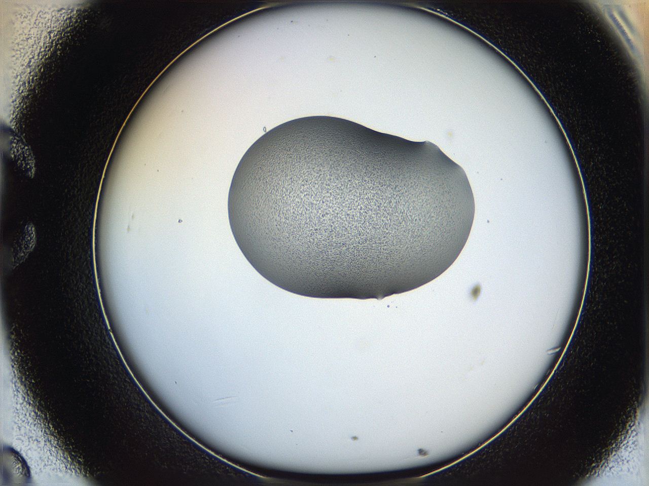 064g_C8_ImagerDefaults_1.jpg