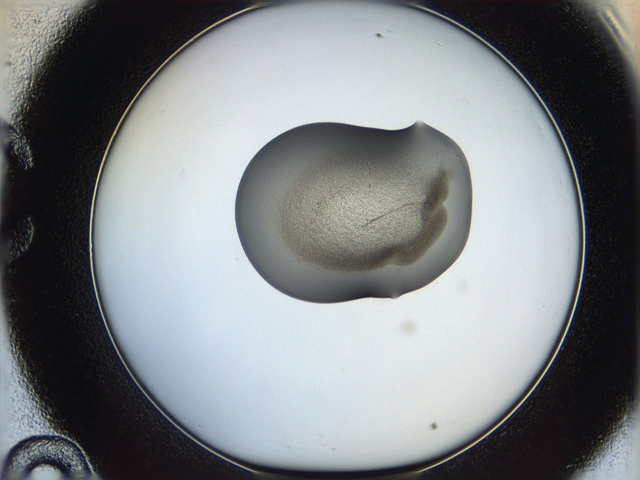 064g_C10_ImagerDefaults_1.jpg