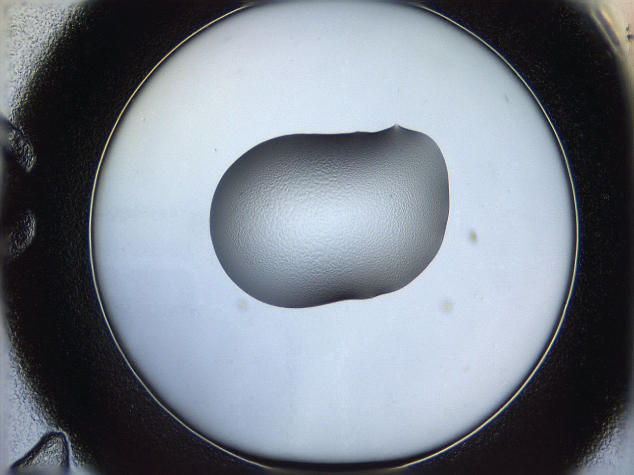 064g_C11_ImagerDefaults_5.jpg