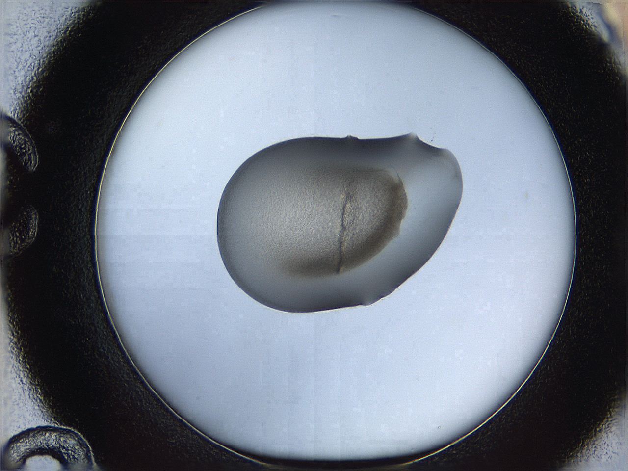 064g_C12_ImagerDefaults_1.jpg