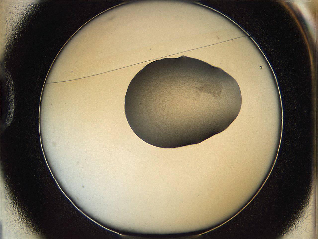 064g_D1_ImagerDefaults_1.jpg
