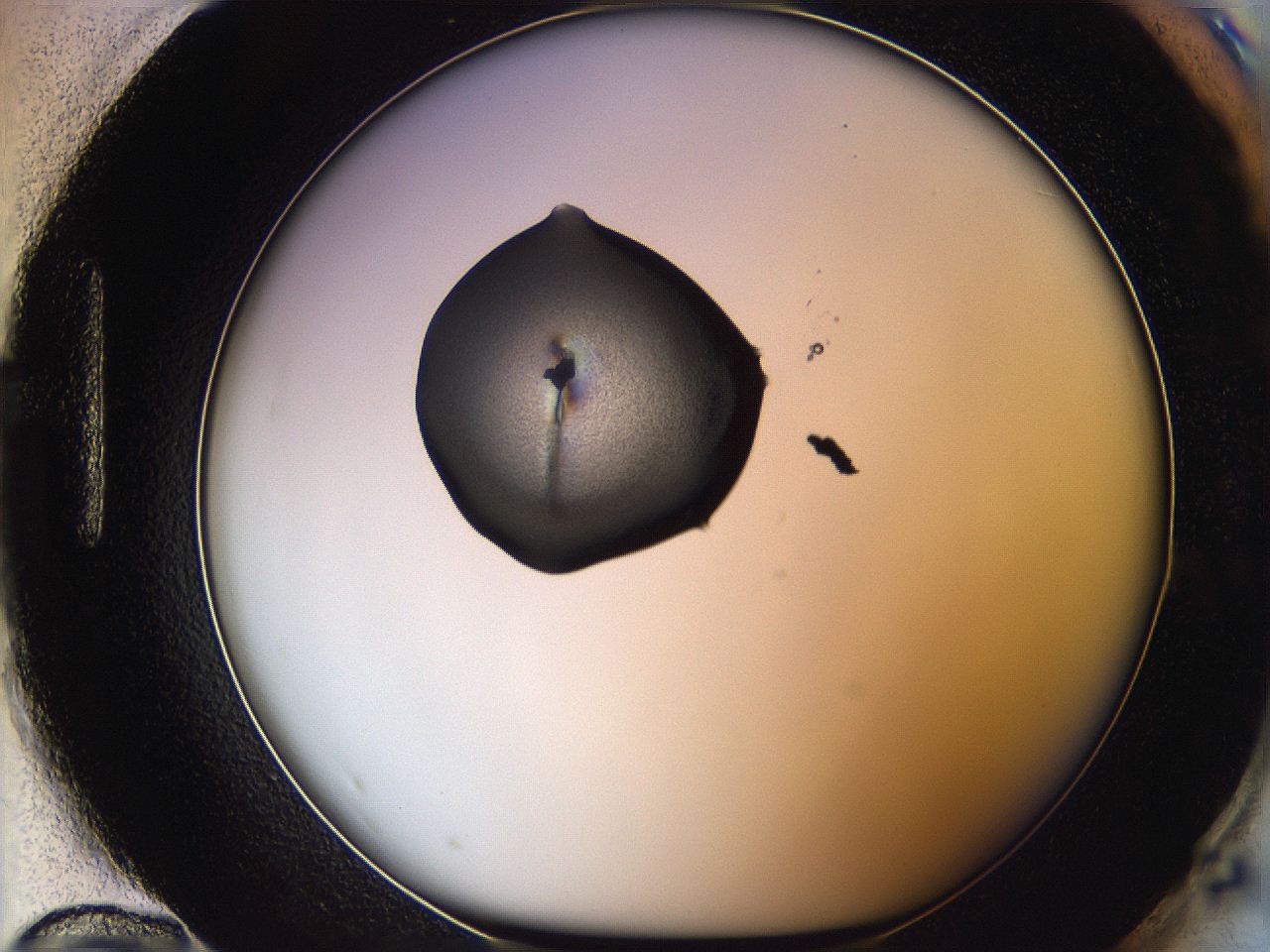 064g_H12_ImagerDefaults_3.jpg