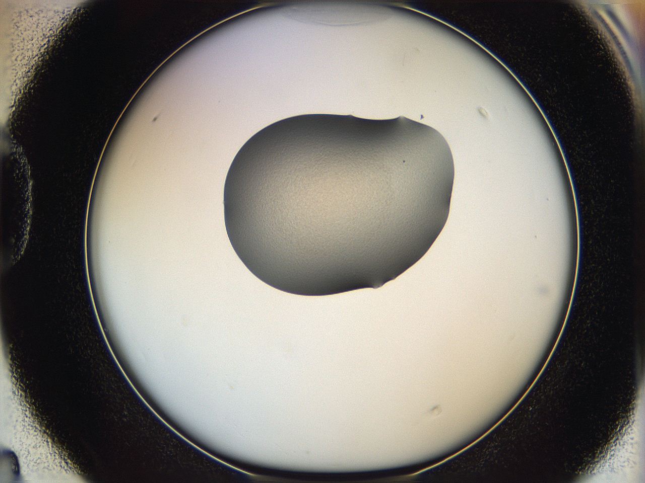 064g_D4_ImagerDefaults_1.jpg