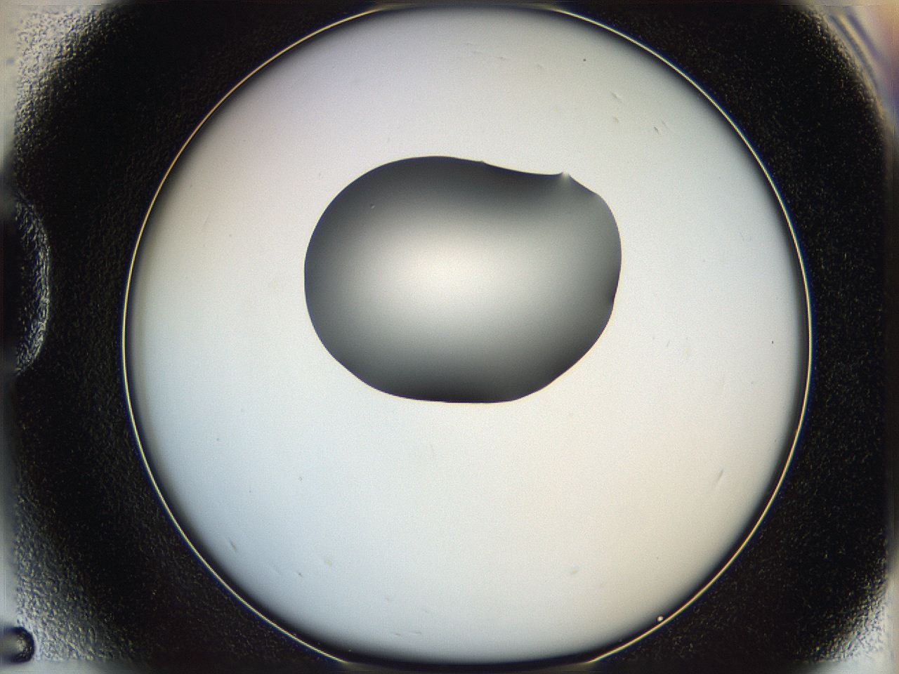 064g_D5_ImagerDefaults_0.jpg