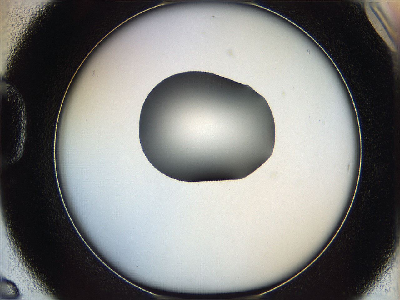064g_D6_ImagerDefaults_0.jpg