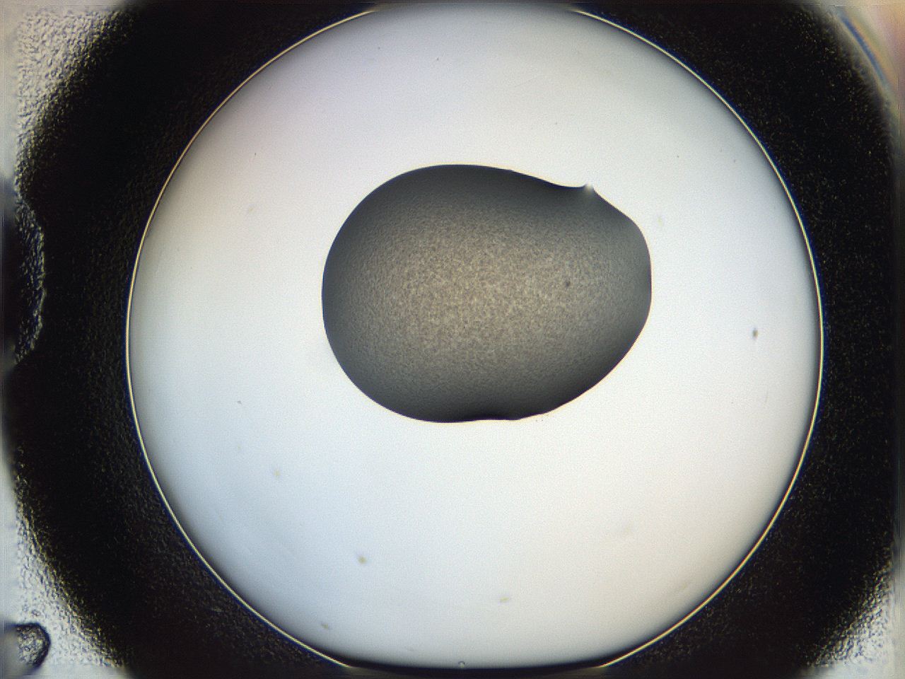 064g_D7_ImagerDefaults_1.jpg