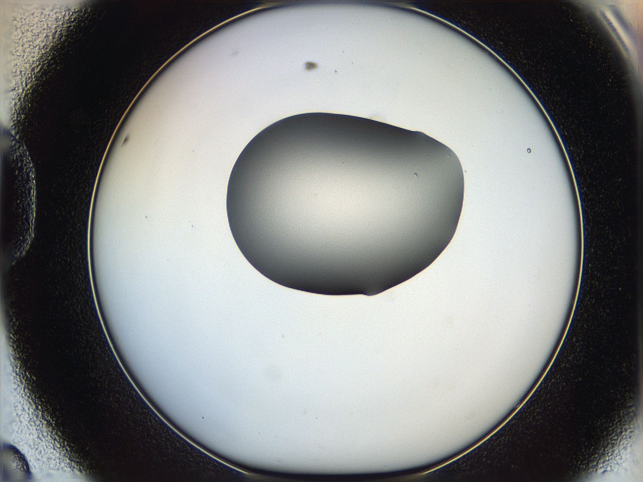 064g_D8_ImagerDefaults_0.jpg