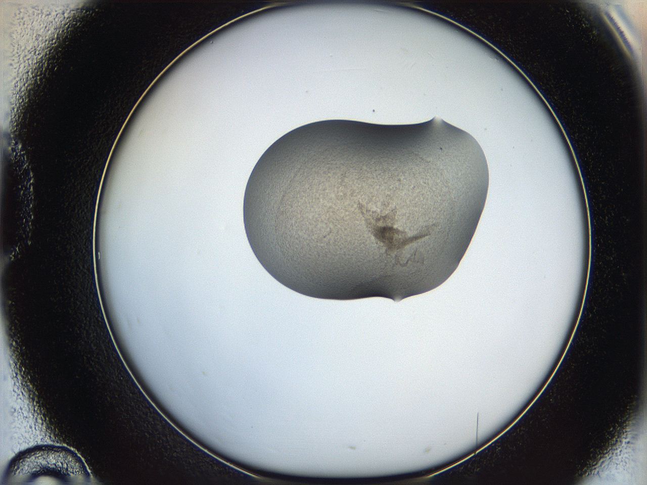 064g_D10_ImagerDefaults_1.jpg