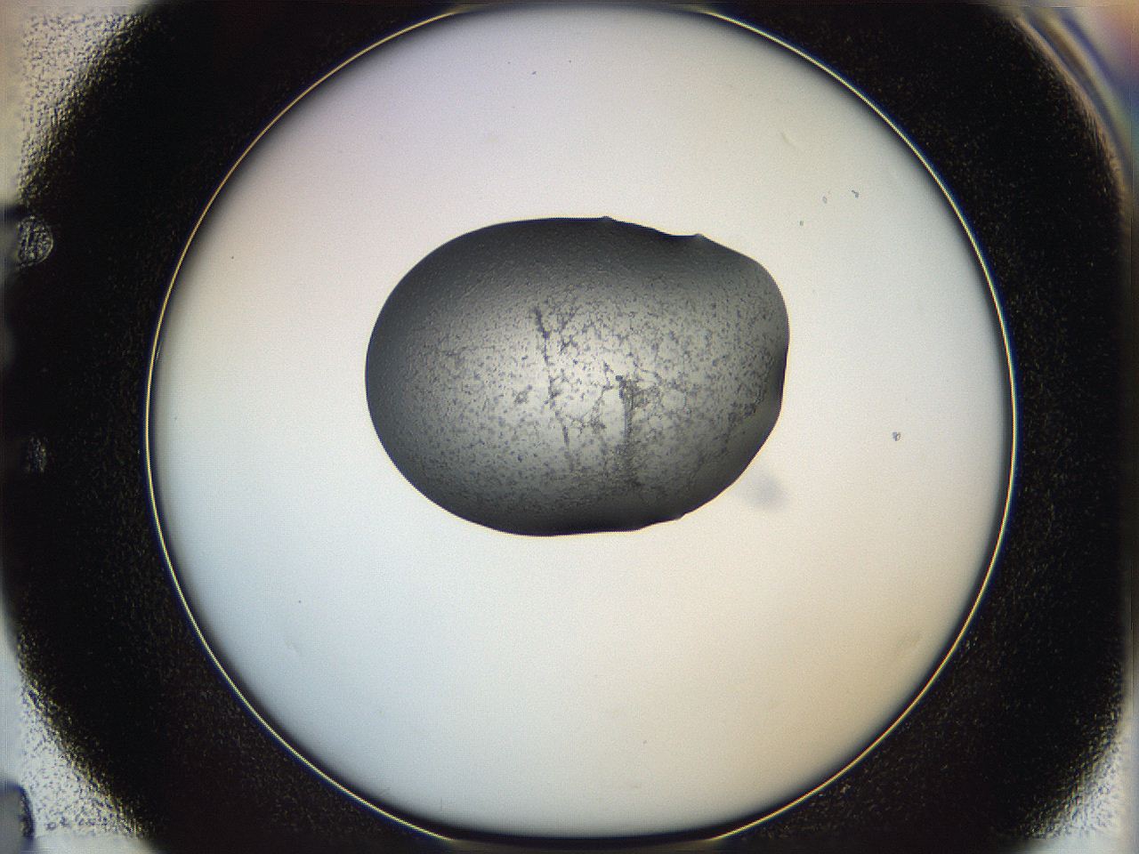 064g_E4_ImagerDefaults_3.jpg