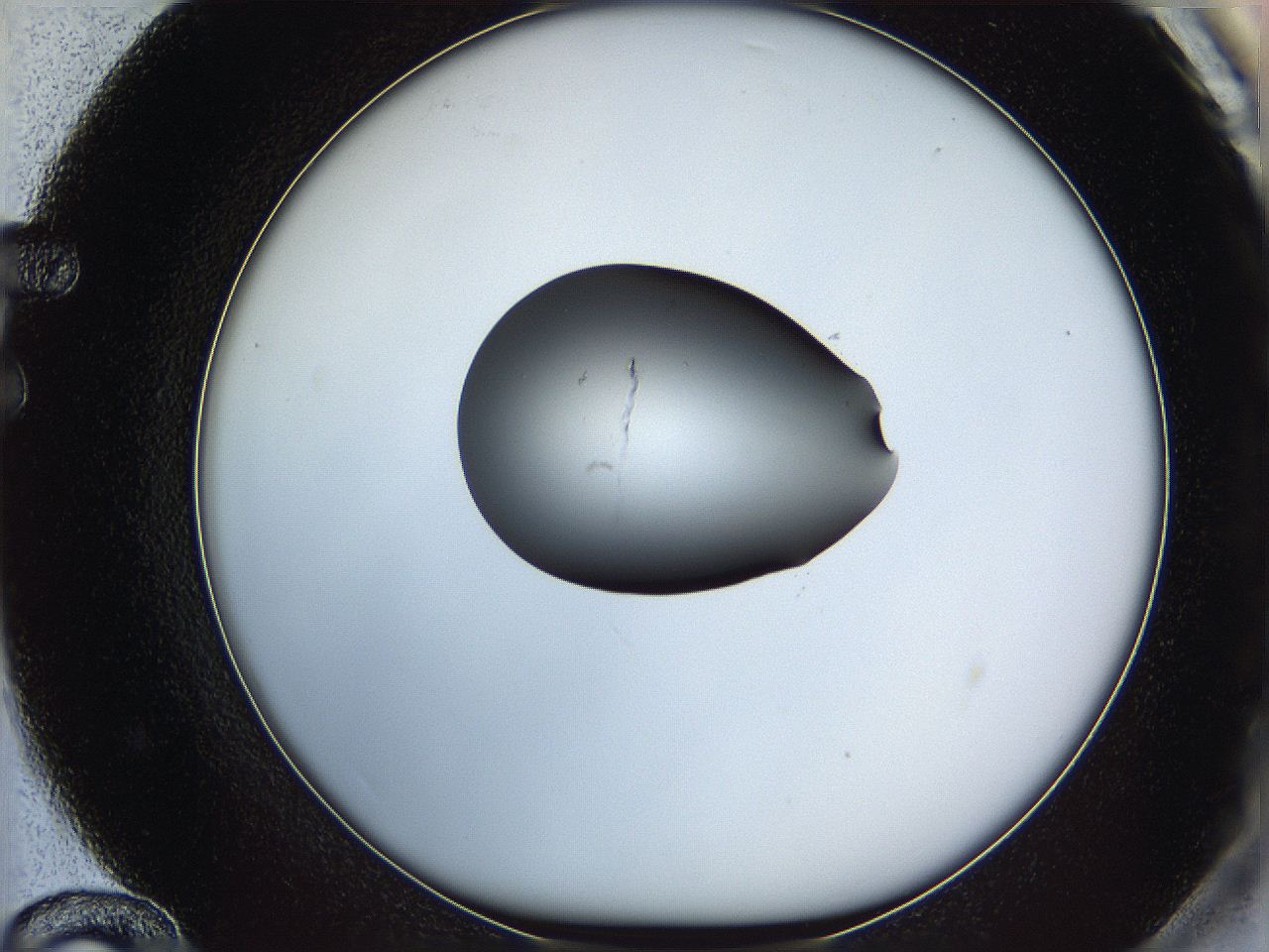 064g_F12_ImagerDefaults_0.jpg