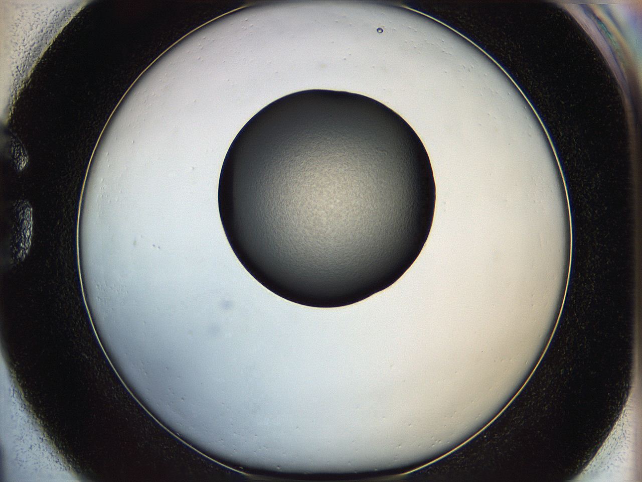 064g_G1_ImagerDefaults_3.jpg