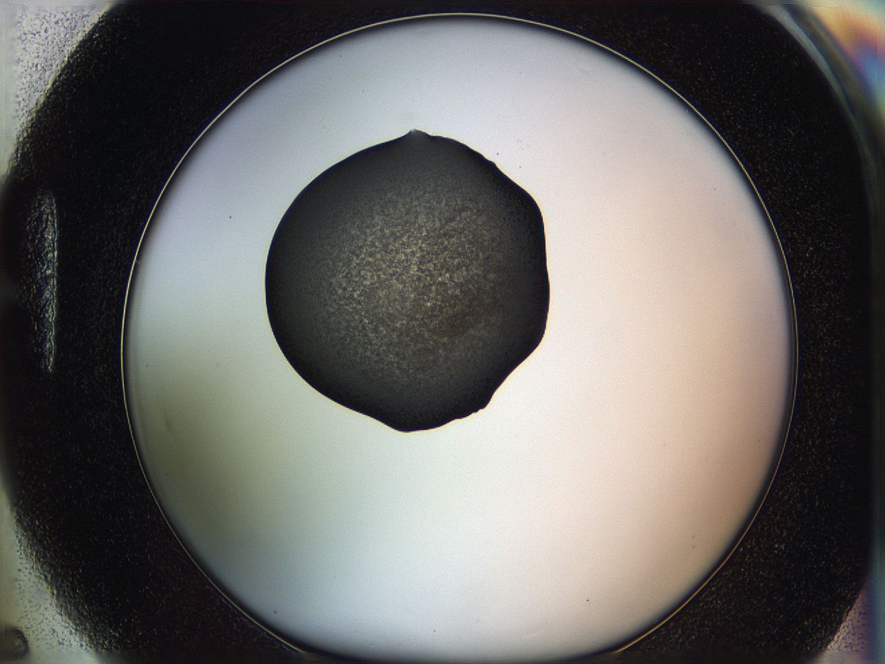064g_H5_ImagerDefaults_3.jpg