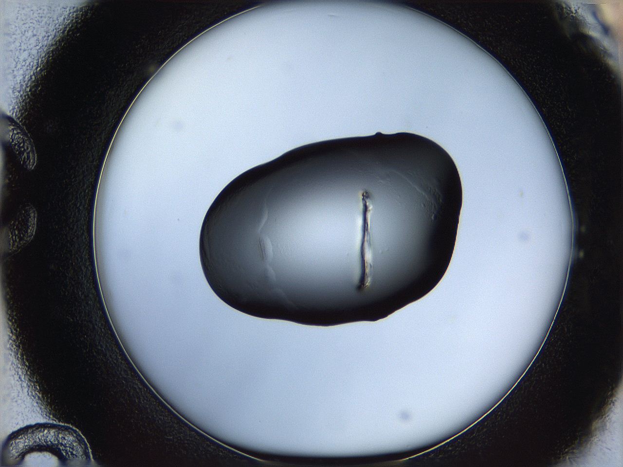 064h_C12_ImagerDefaults_6.jpg