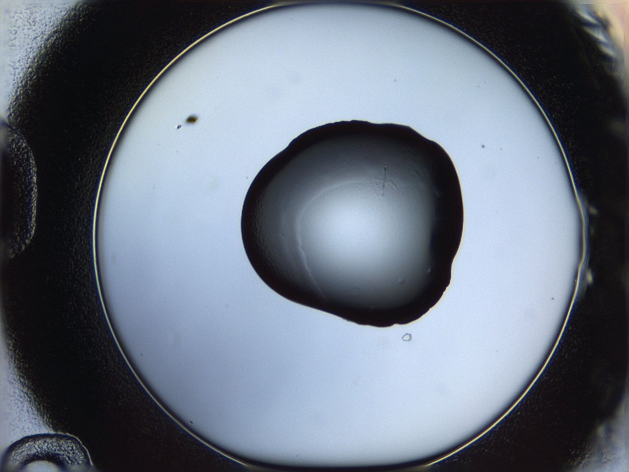 064h_D12_ImagerDefaults_0.jpg
