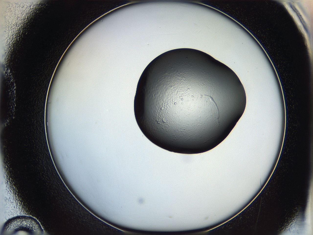 064h_D10_ImagerDefaults_5.jpg