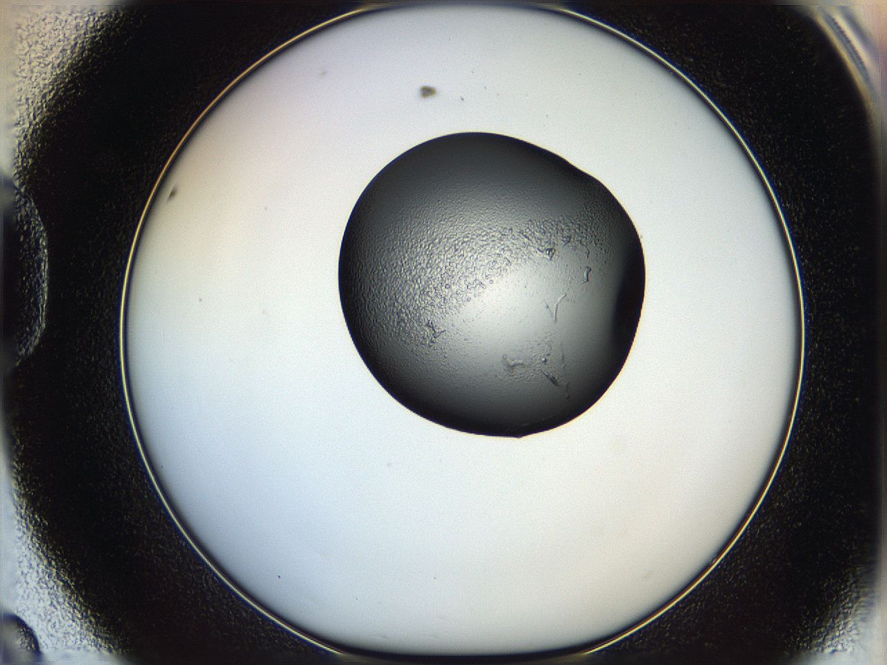 064h_D8_ImagerDefaults_5.jpg