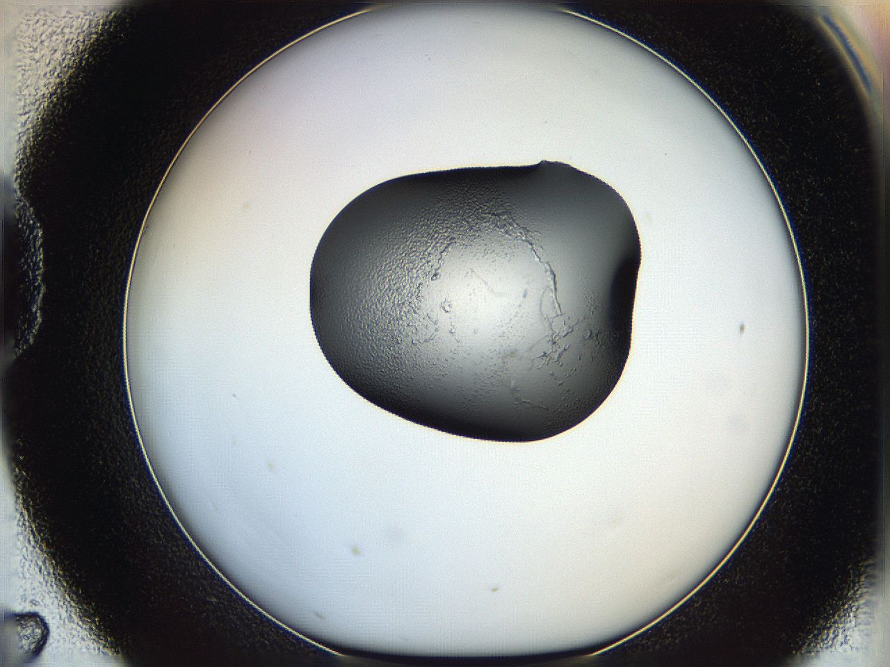 064h_D7_ImagerDefaults_5.jpg