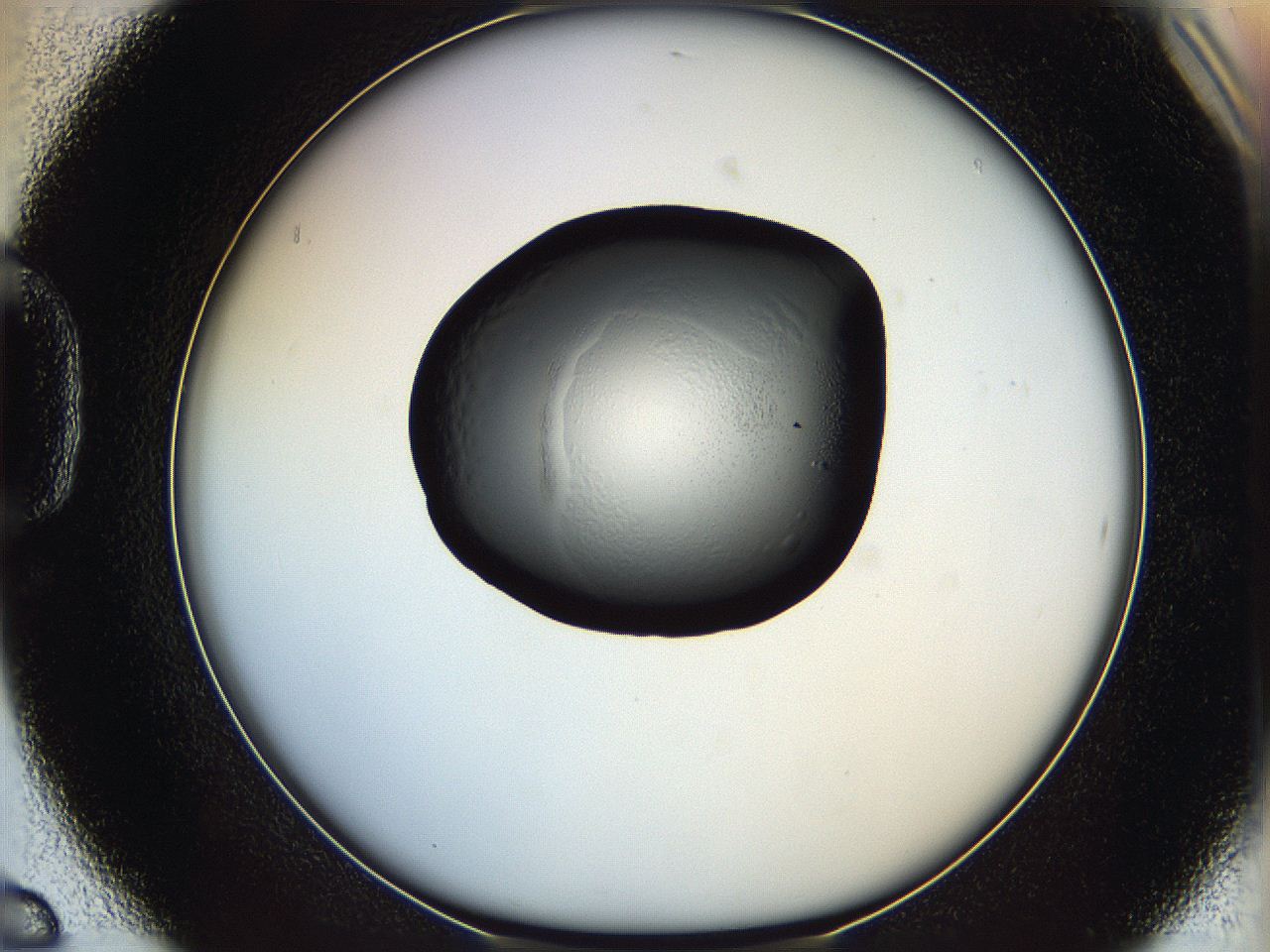 064h_D6_ImagerDefaults_5.jpg