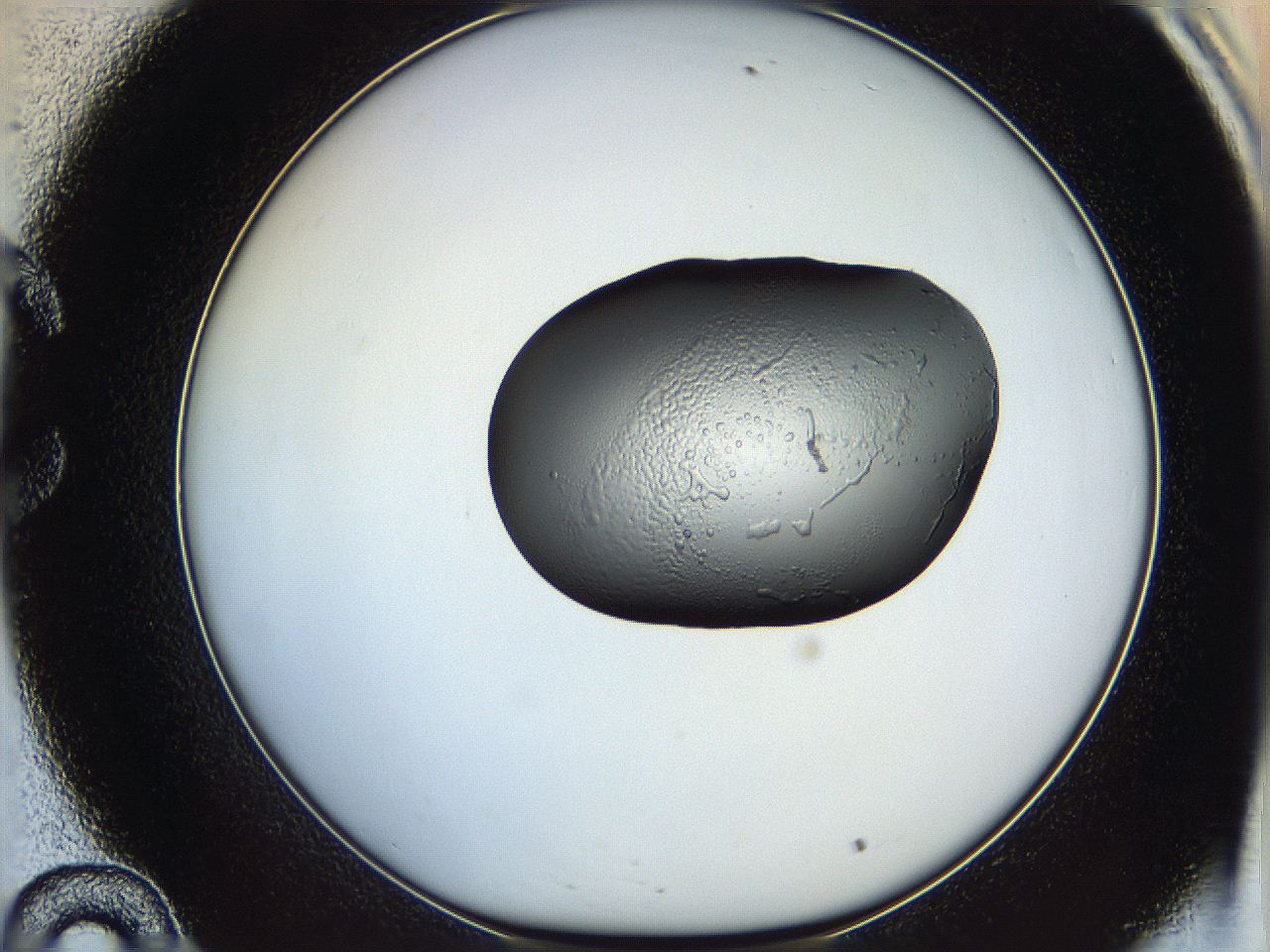 064h_C10_ImagerDefaults_5.jpg