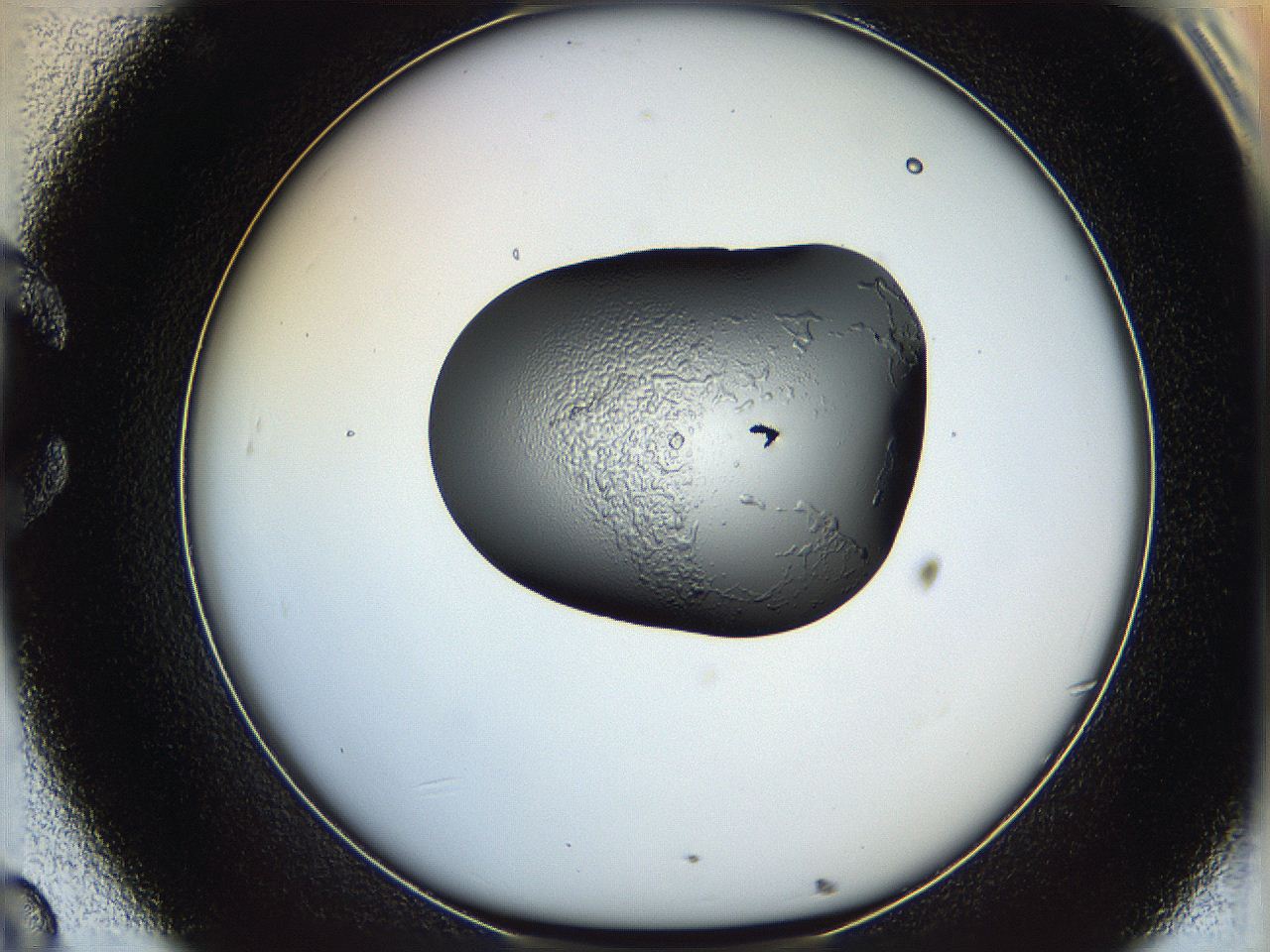 064h_C8_ImagerDefaults_5.jpg