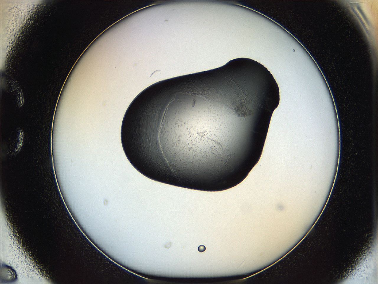 064h_C6_ImagerDefaults_3.jpg