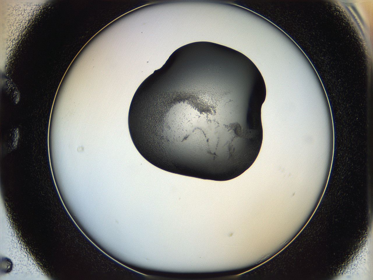064h_C5_ImagerDefaults_3.jpg