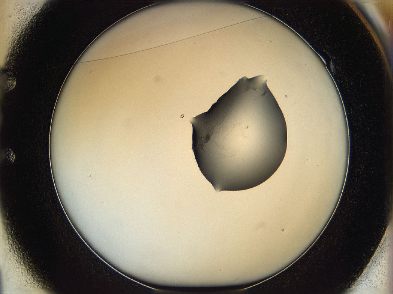 064h_E1_ImagerDefaults_0.jpg