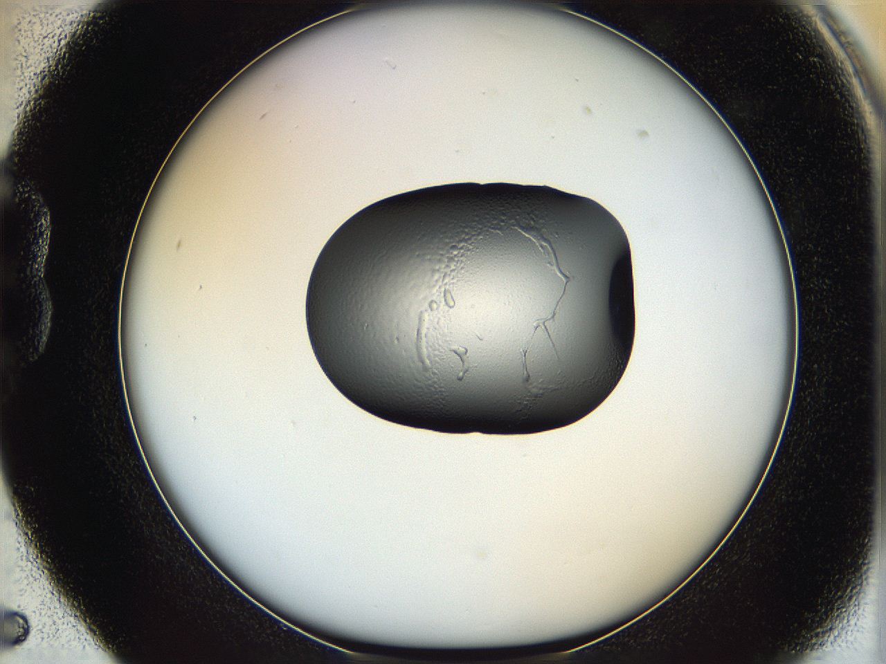 064h_B5_ImagerDefaults_5.jpg