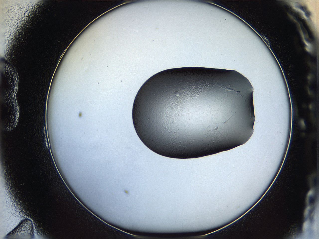 064h_B11_ImagerDefaults_5.jpg
