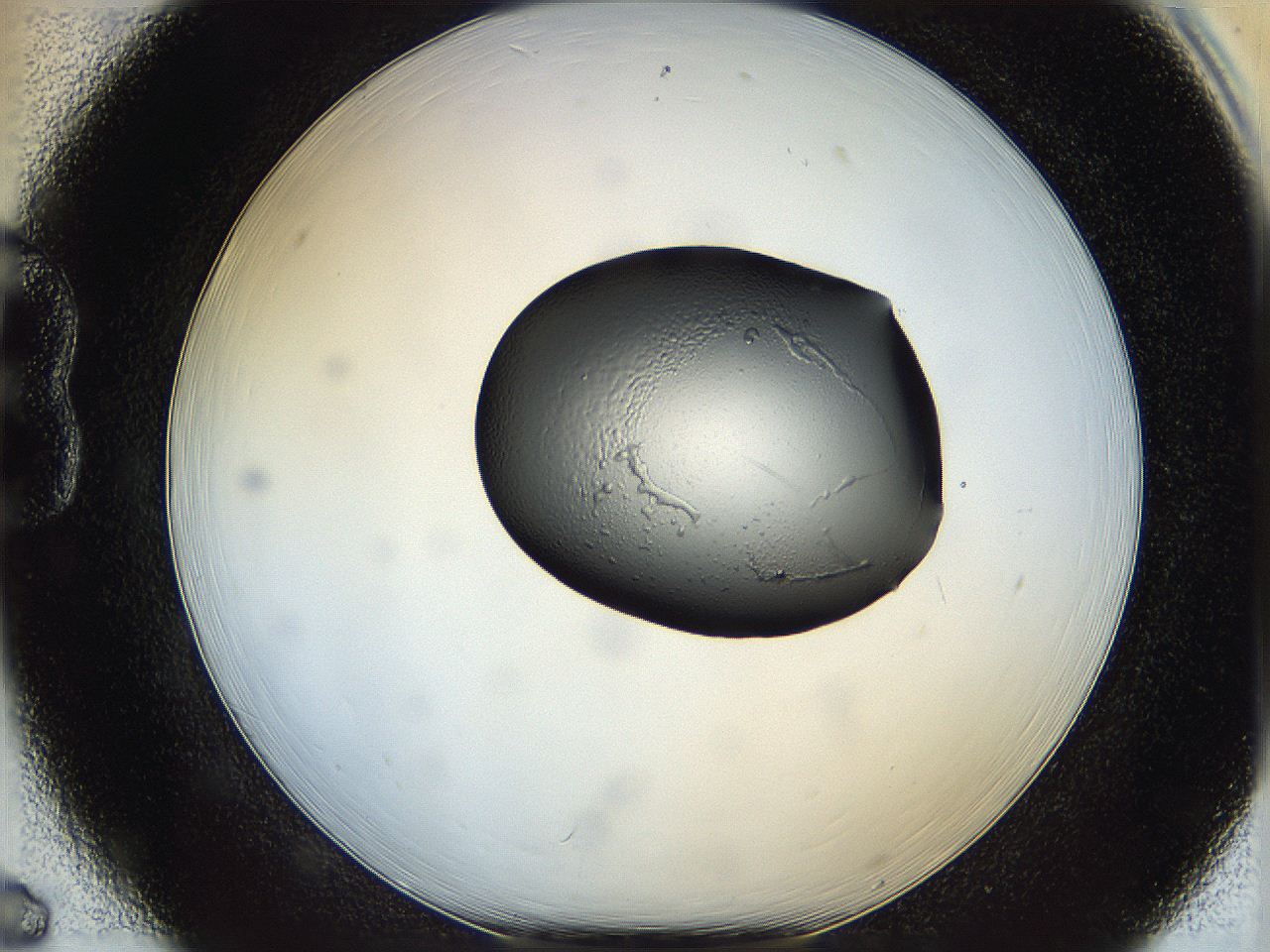 064h_B6_ImagerDefaults_5.jpg