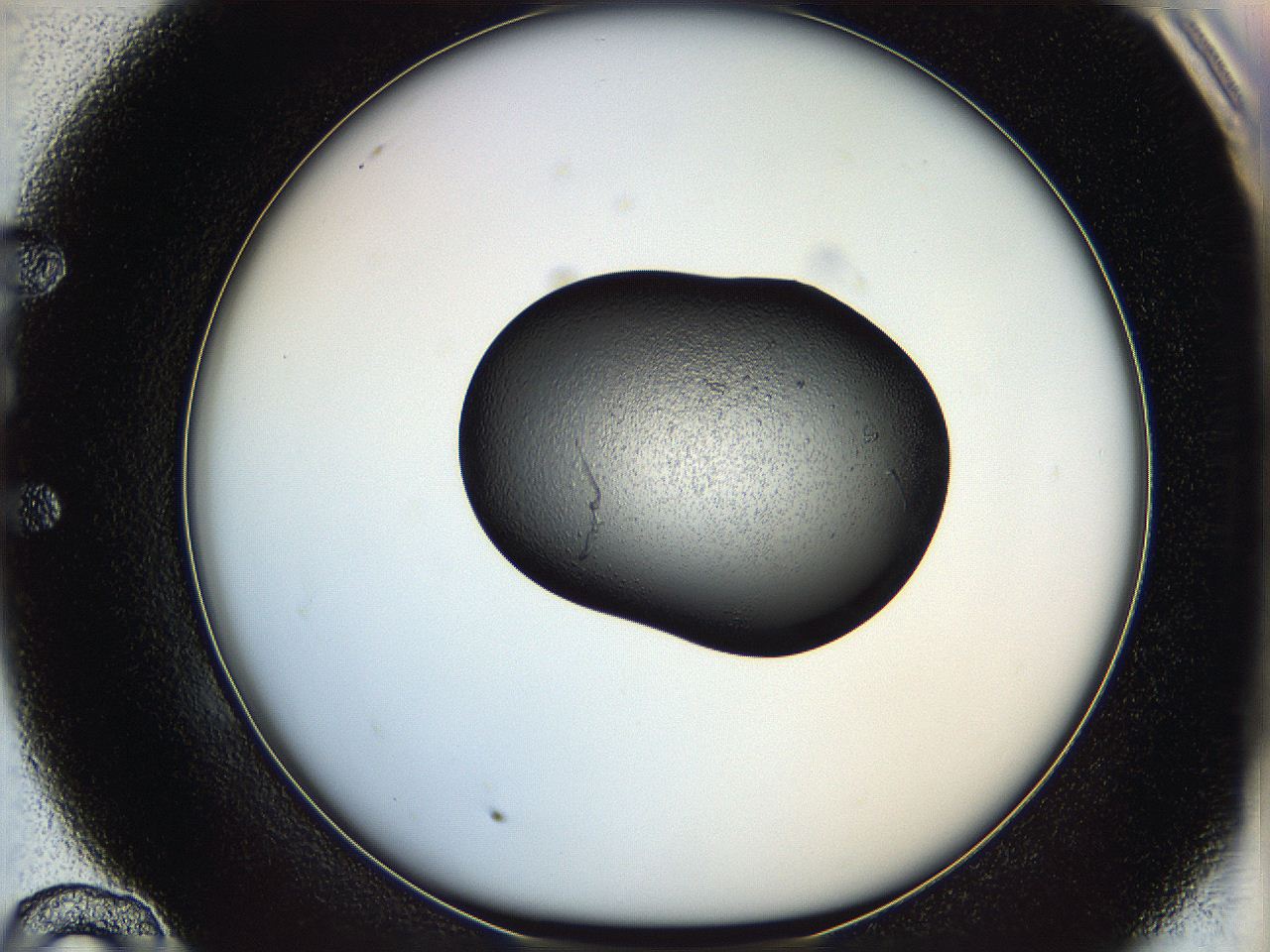 064h_E10_ImagerDefaults_5.jpg