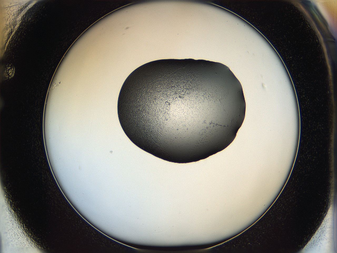 064h_F1_ImagerDefaults_5.jpg