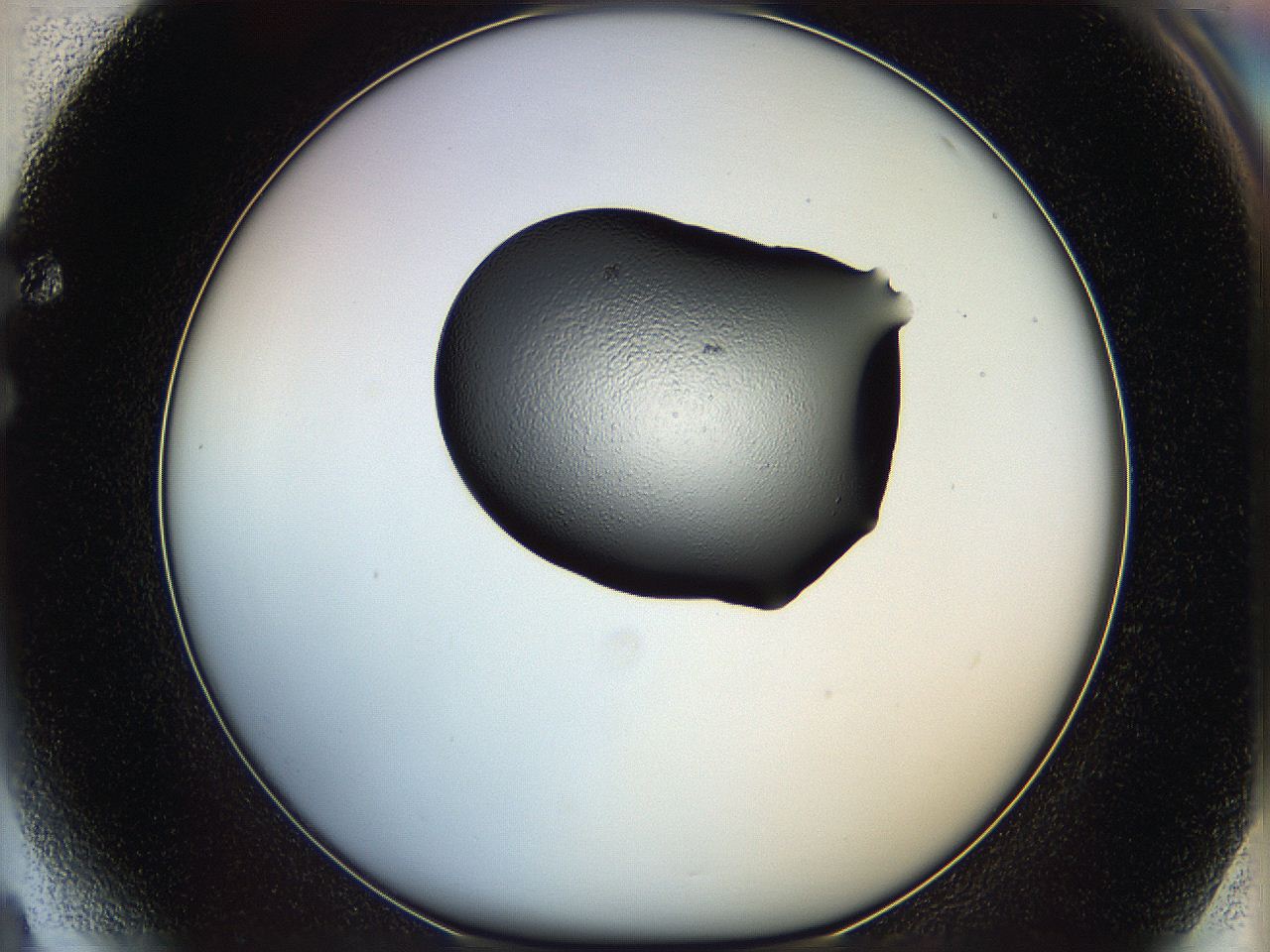 064h_F4_ImagerDefaults_5.jpg