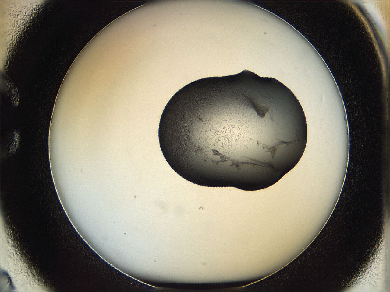 064h_C2_ImagerDefaults_3.jpg