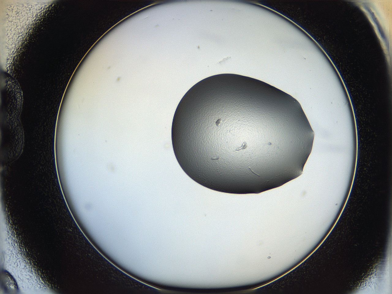 064h_B9_ImagerDefaults_5.jpg