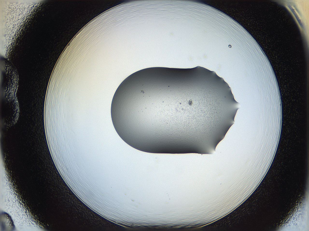 064h_B8_ImagerDefaults_5.jpg