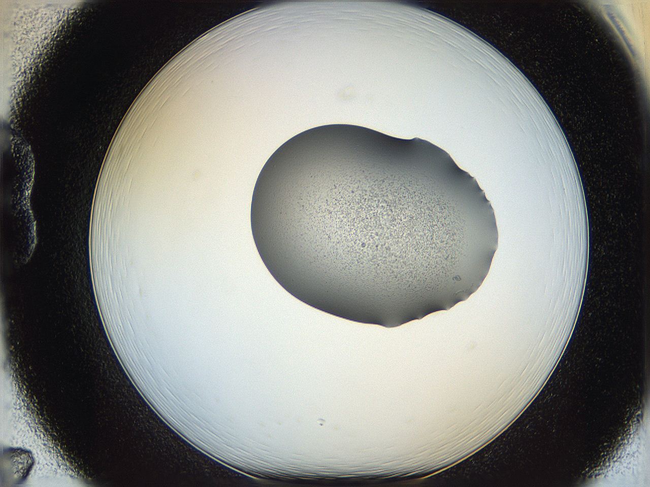 064h_B7_ImagerDefaults_1.jpg