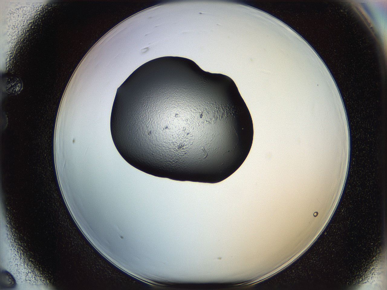064h_F6_ImagerDefaults_5.jpg