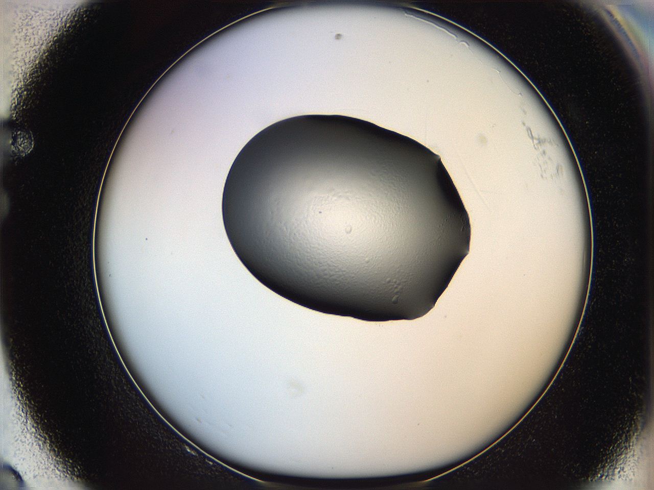 064h_F8_ImagerDefaults_0.jpg