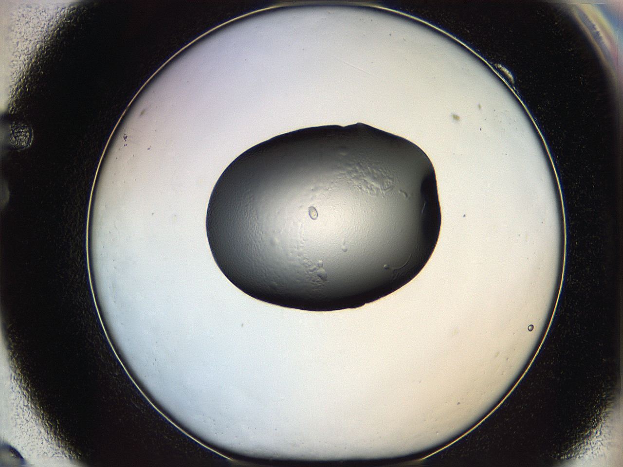 064h_F9_ImagerDefaults_5.jpg