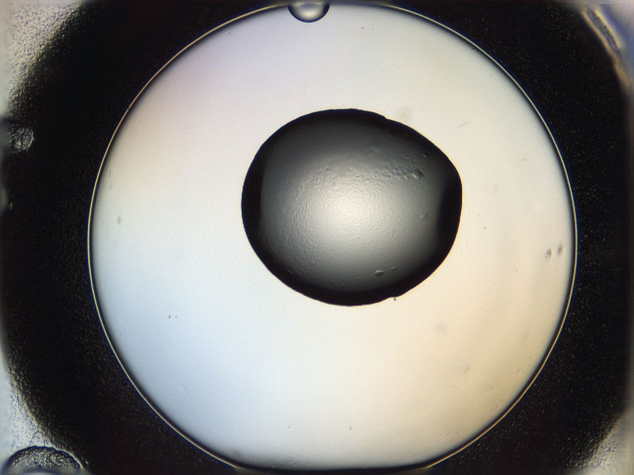 064h_F10_ImagerDefaults_5.jpg