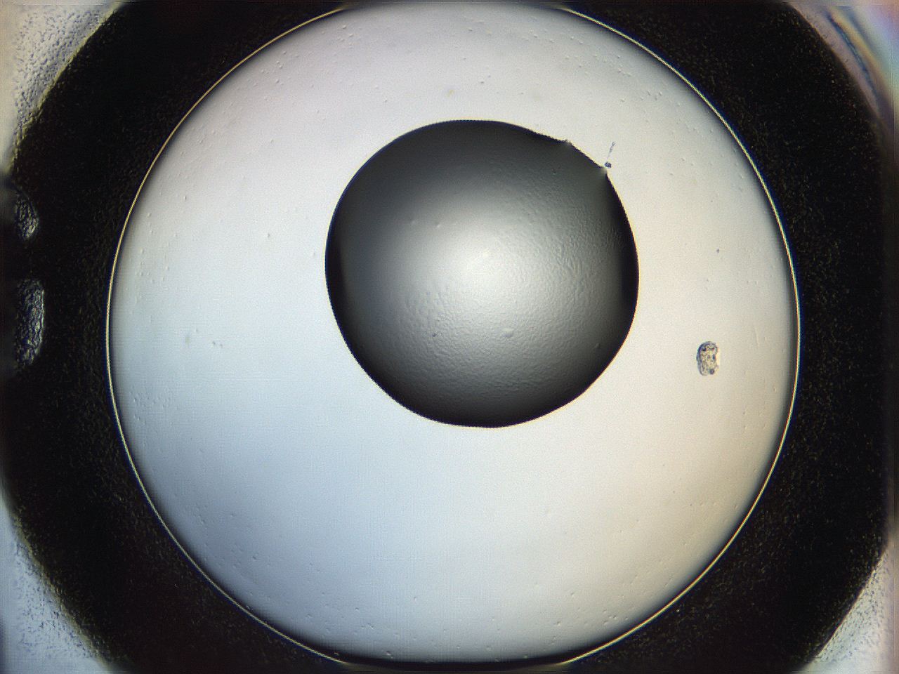 064h_G1_ImagerDefaults_0.jpg