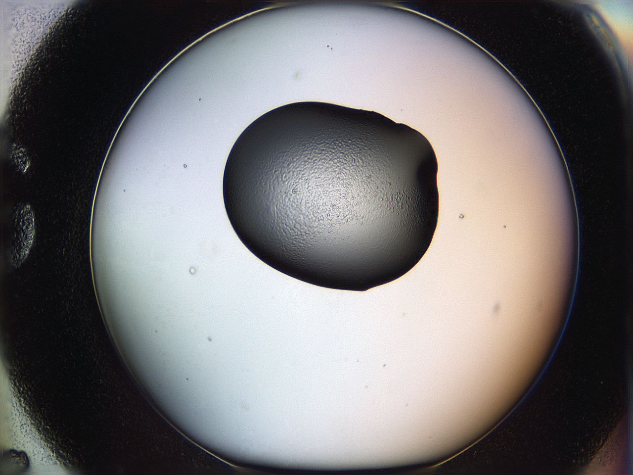 064h_G7_ImagerDefaults_5.jpg